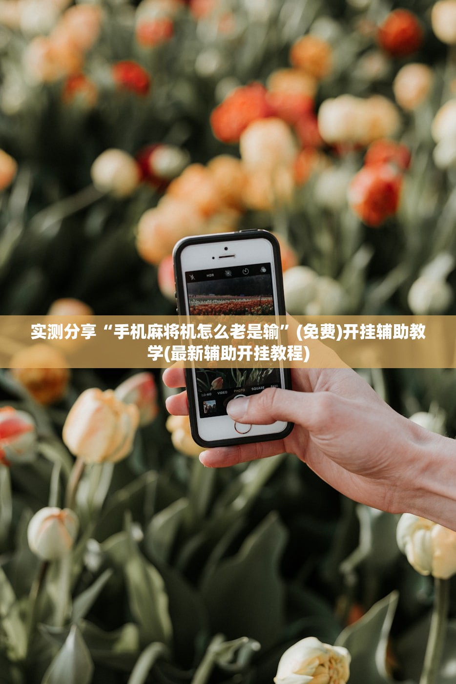 张家口疫情最新消息/张家口疫情最新数据统计