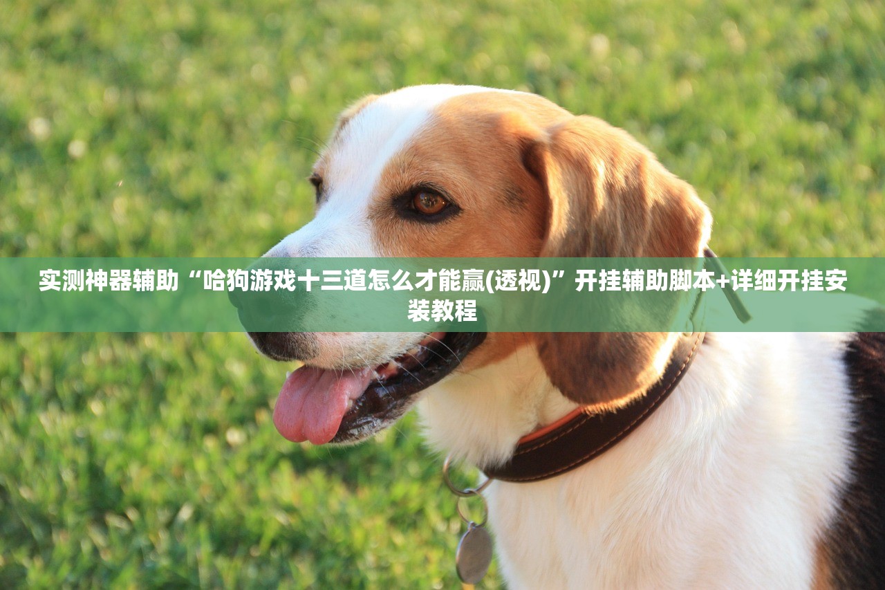 实测神器辅助“哈狗游戏十三道怎么才能赢(透视)”开挂辅助脚本+详细开挂安装教程