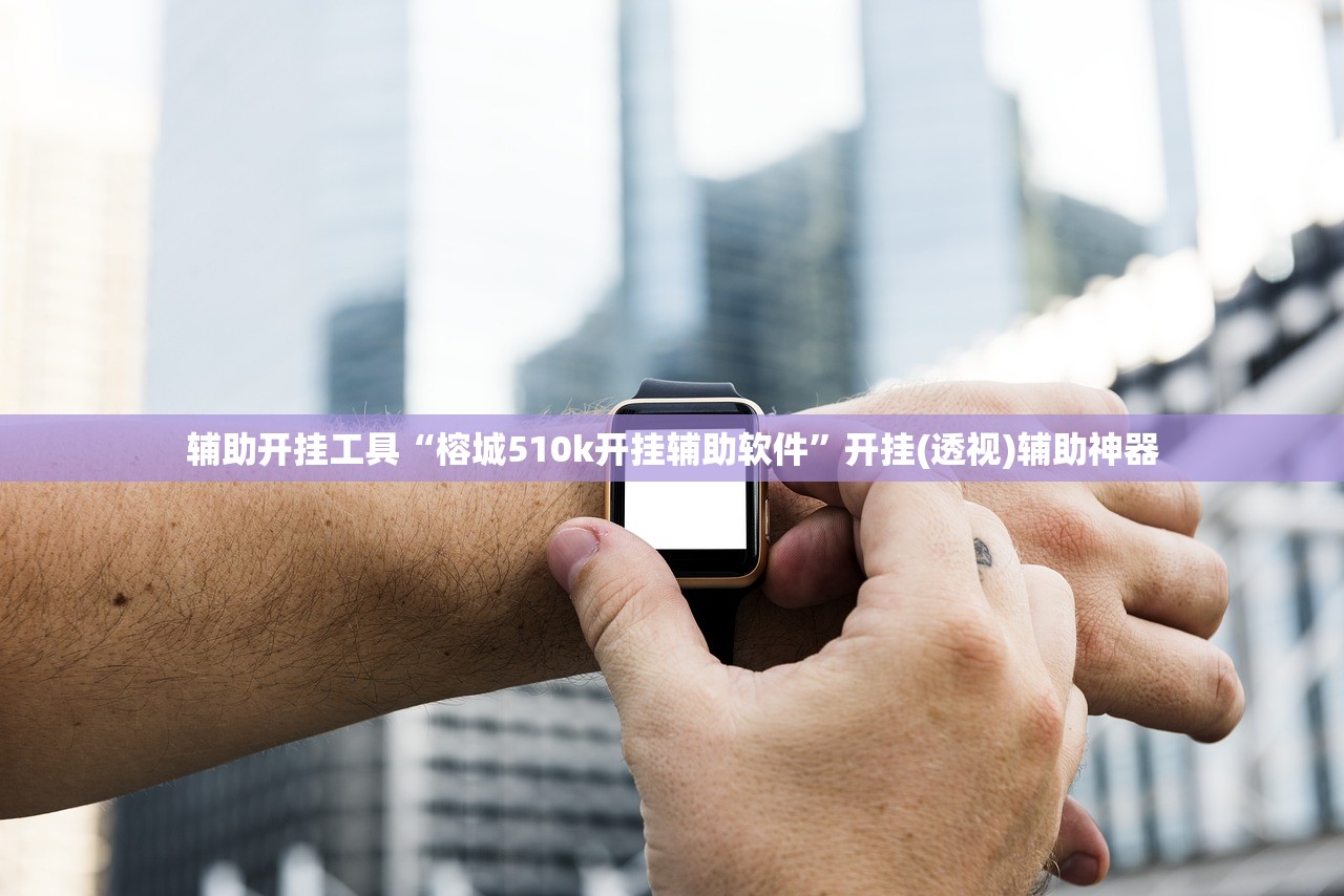 辅助开挂工具“榕城510k开挂辅助软件”开挂(透视)辅助神器