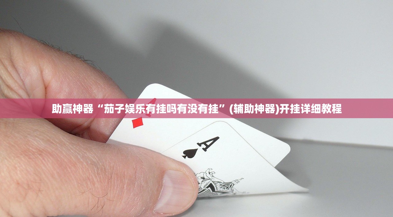 助赢神器“茄子娱乐有挂吗有没有挂”(辅助神器)开挂详细教程
