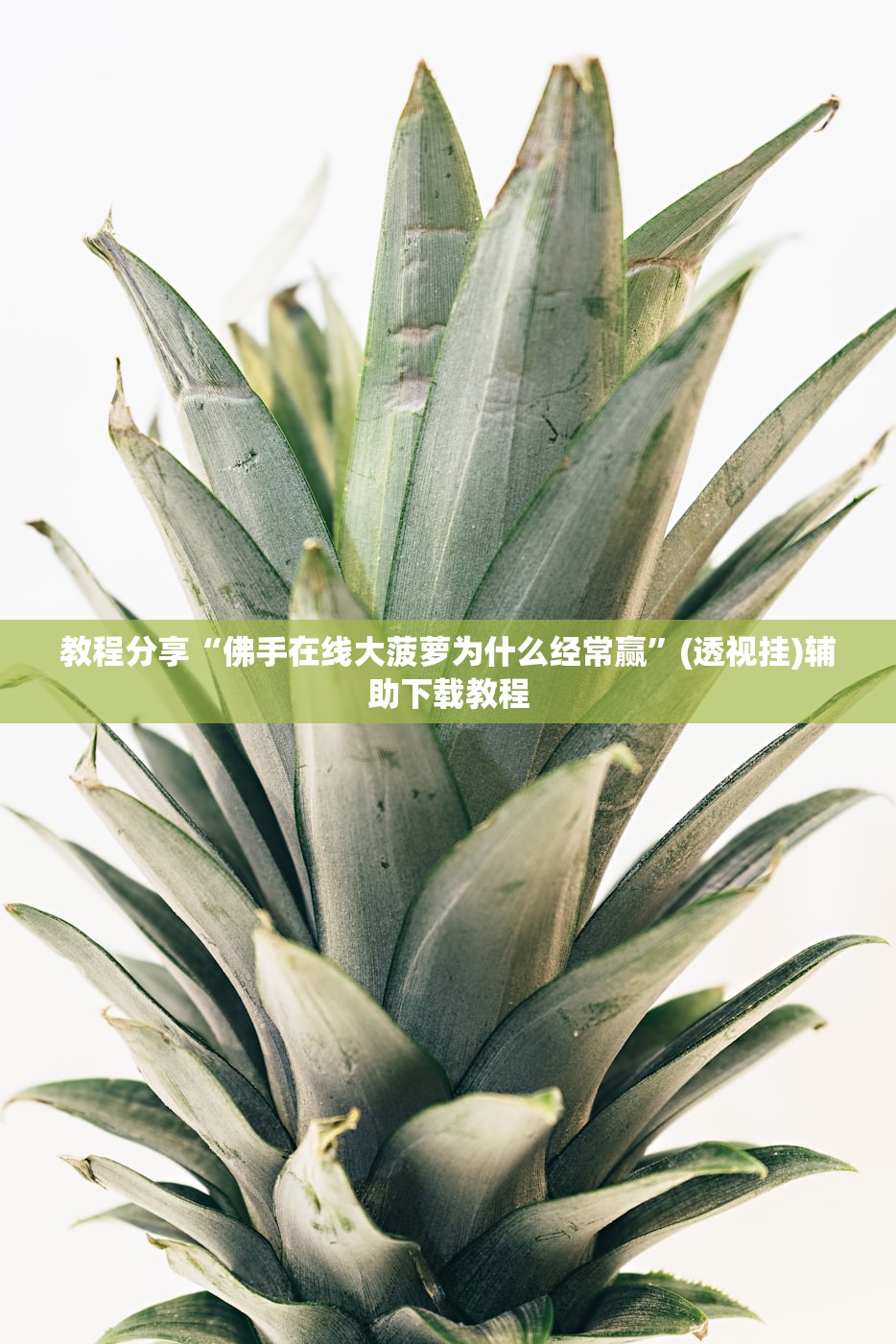 教程分享“佛手在线大菠萝为什么经常赢”(透视挂)辅助下载教程