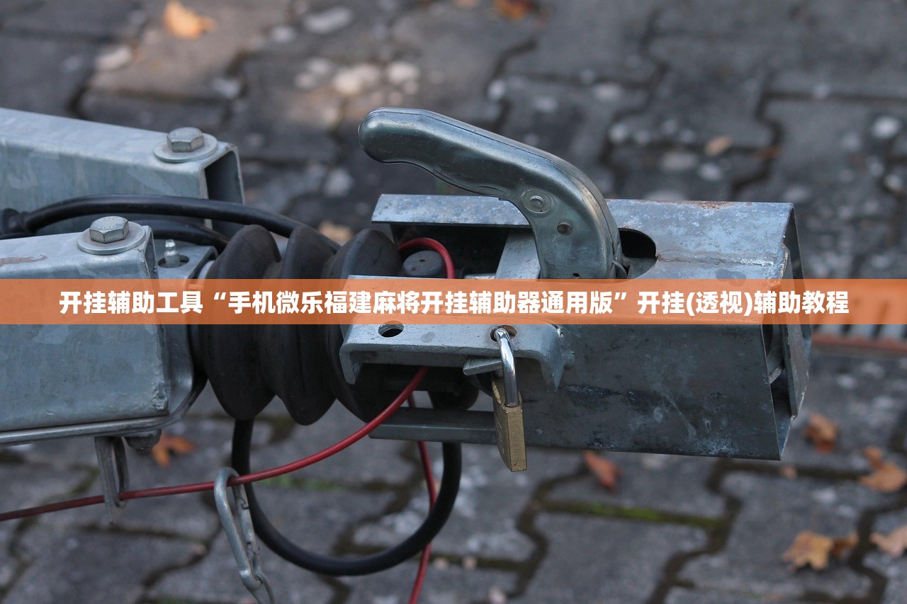 开挂辅助工具“手机微乐福建麻将开挂辅助器通用版”开挂(透视)辅助教程