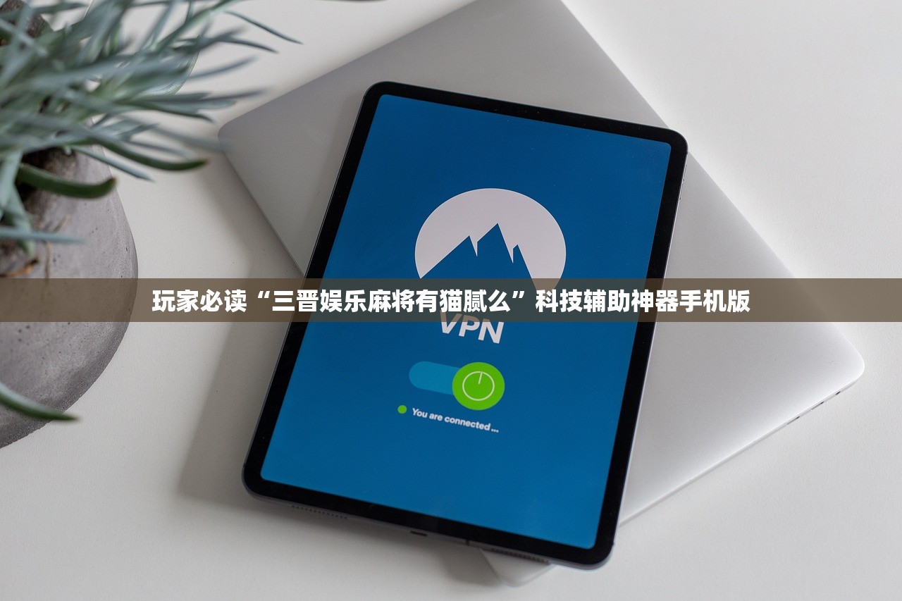 玩家必读“三晋娱乐麻将有猫腻么	”科技辅助神器手机版