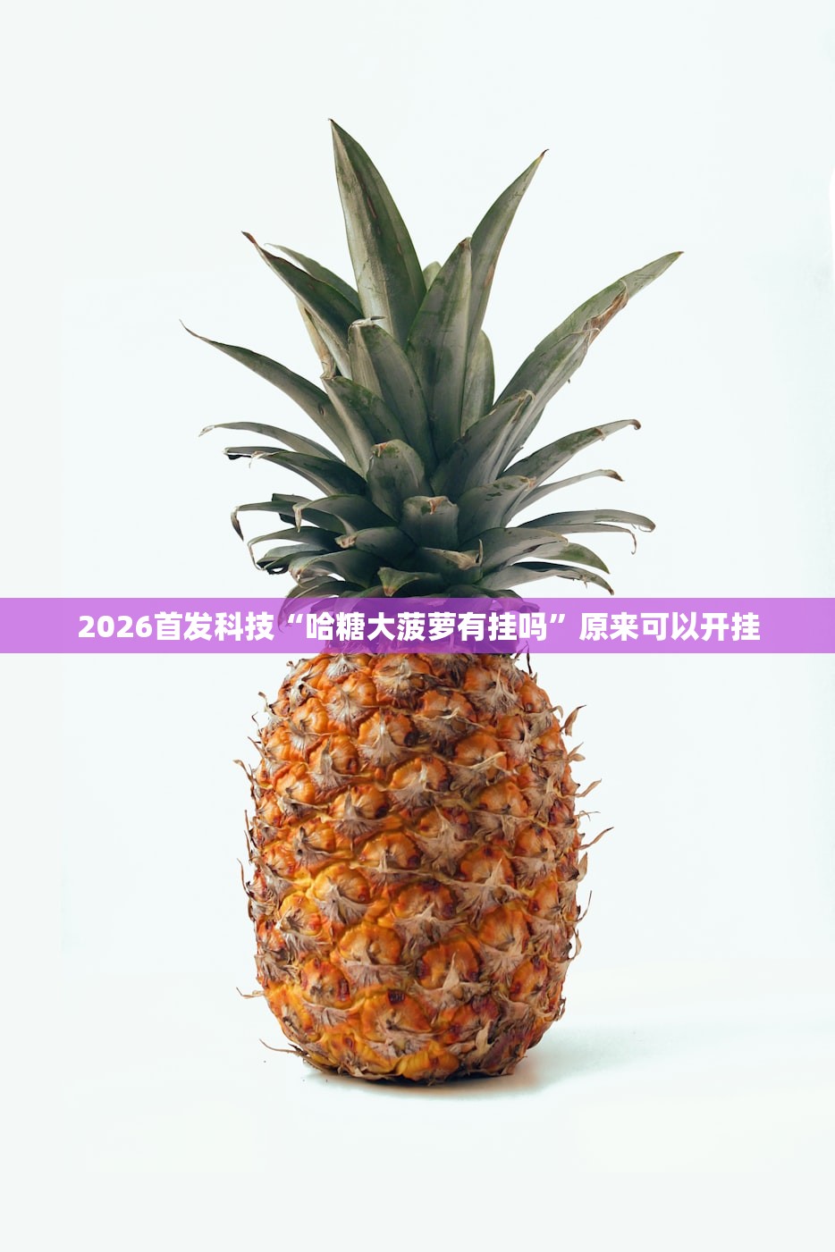 2026首发科技“哈糖大菠萝有挂吗”原来可以开挂