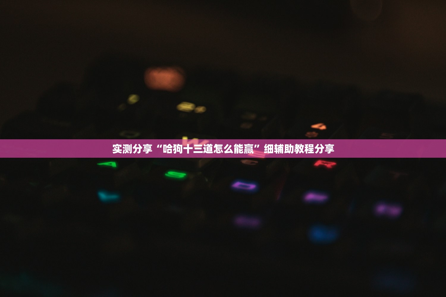 实测分享“哈狗十三道怎么能赢”细辅助教程分享