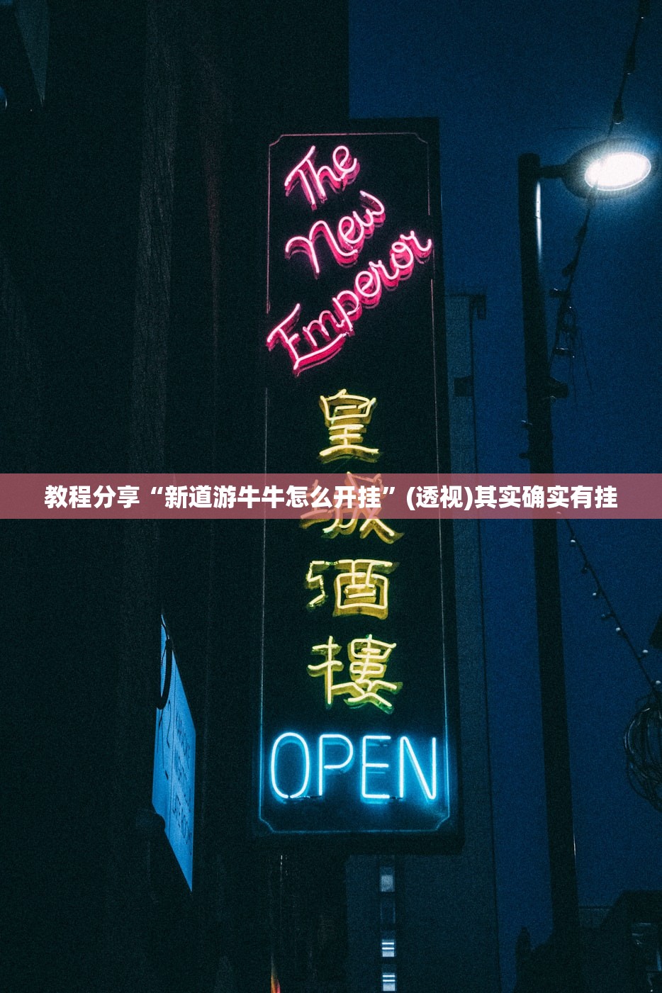 教程分享“新道游牛牛怎么开挂”(透视)其实确实有挂