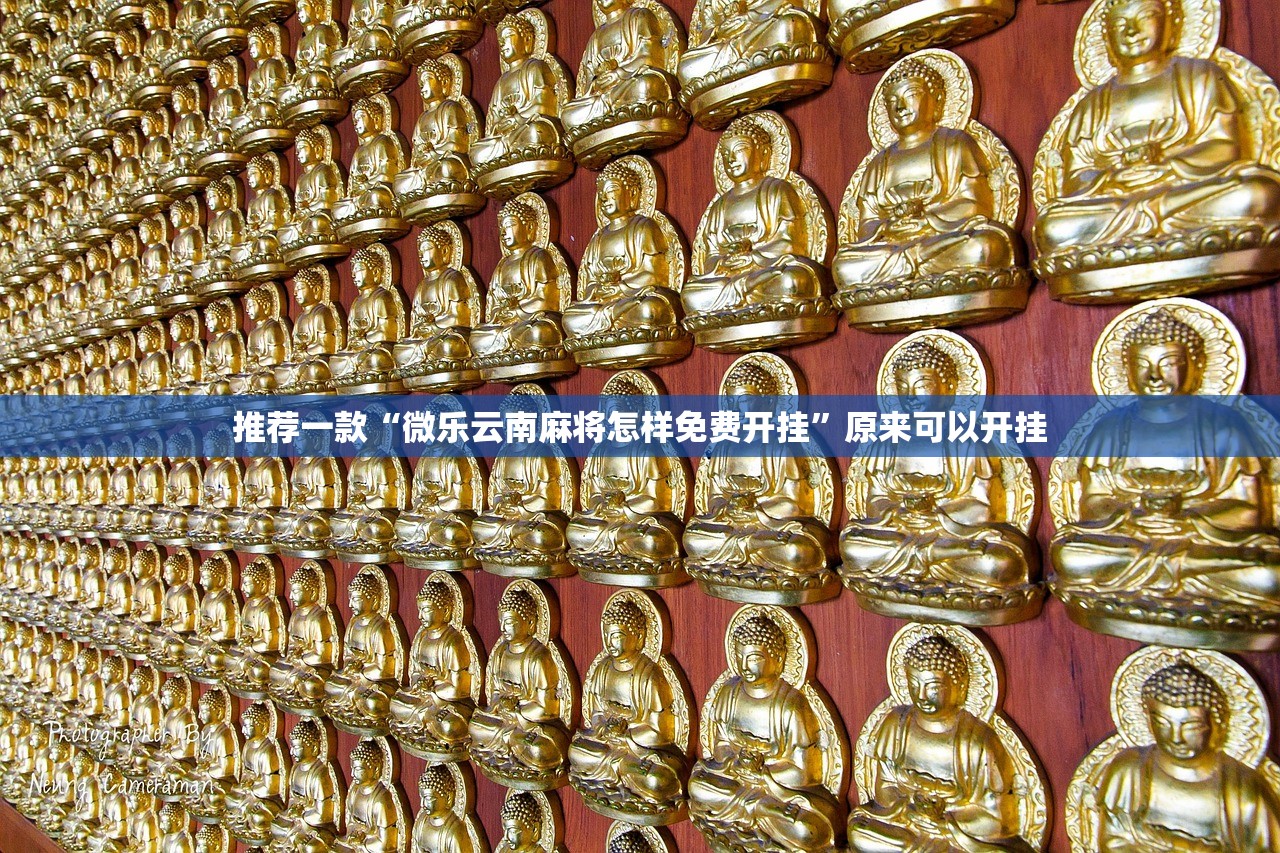 推荐一款“微乐云南麻将怎样免费开挂”原来可以开挂
