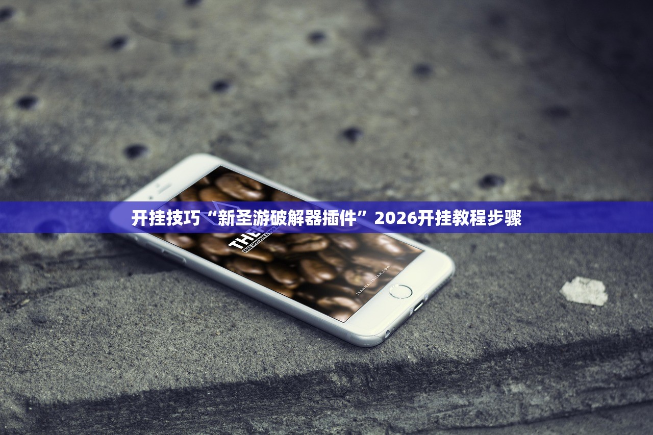 开挂技巧“新圣游破解器插件”2026开挂教程步骤