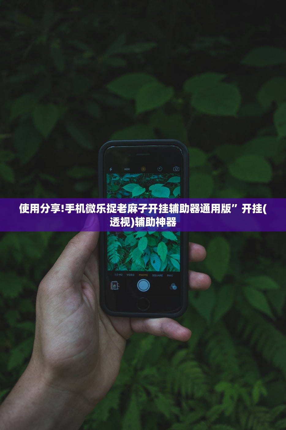 上海12件样本呈阳性/上海12人感染
