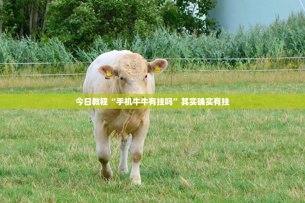 实测神器辅助“呗兔麻将必胜软件”详细开挂教程