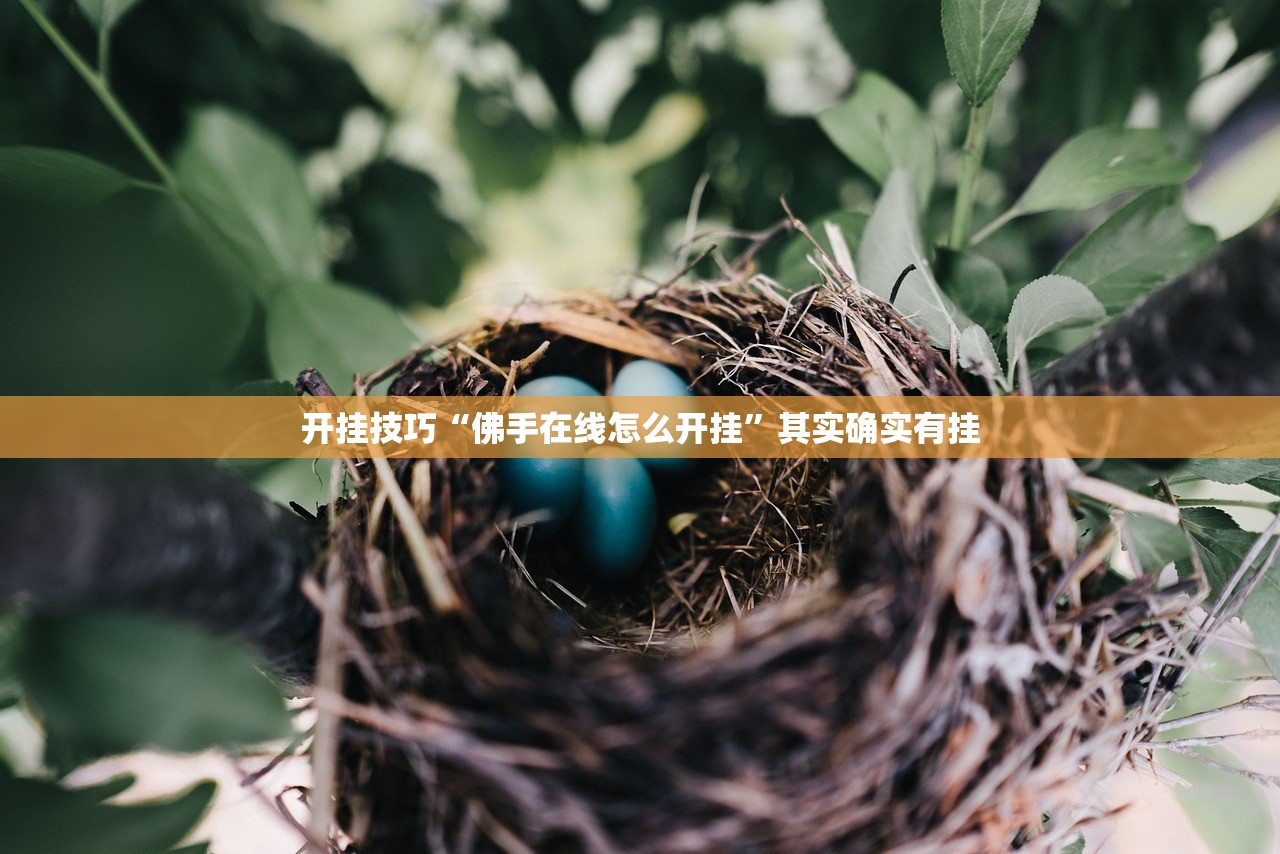 开挂技巧“佛手在线怎么开挂”其实确实有挂
