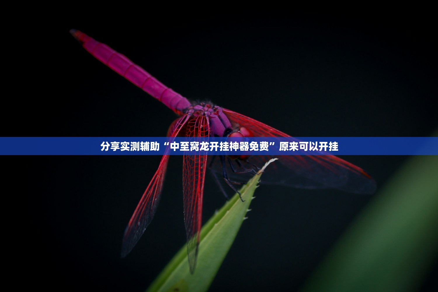 今日教程“福建天天开心十三张有挂吗”2026开挂教程步骤