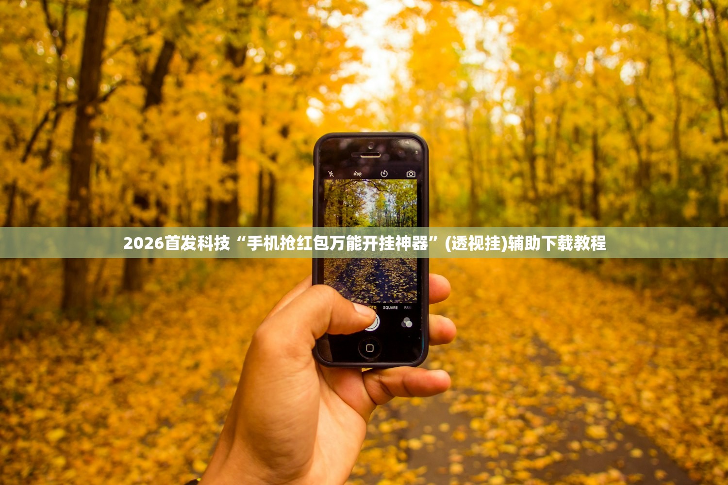 2026上海又出现疫情了吗今天/上海新增6月11