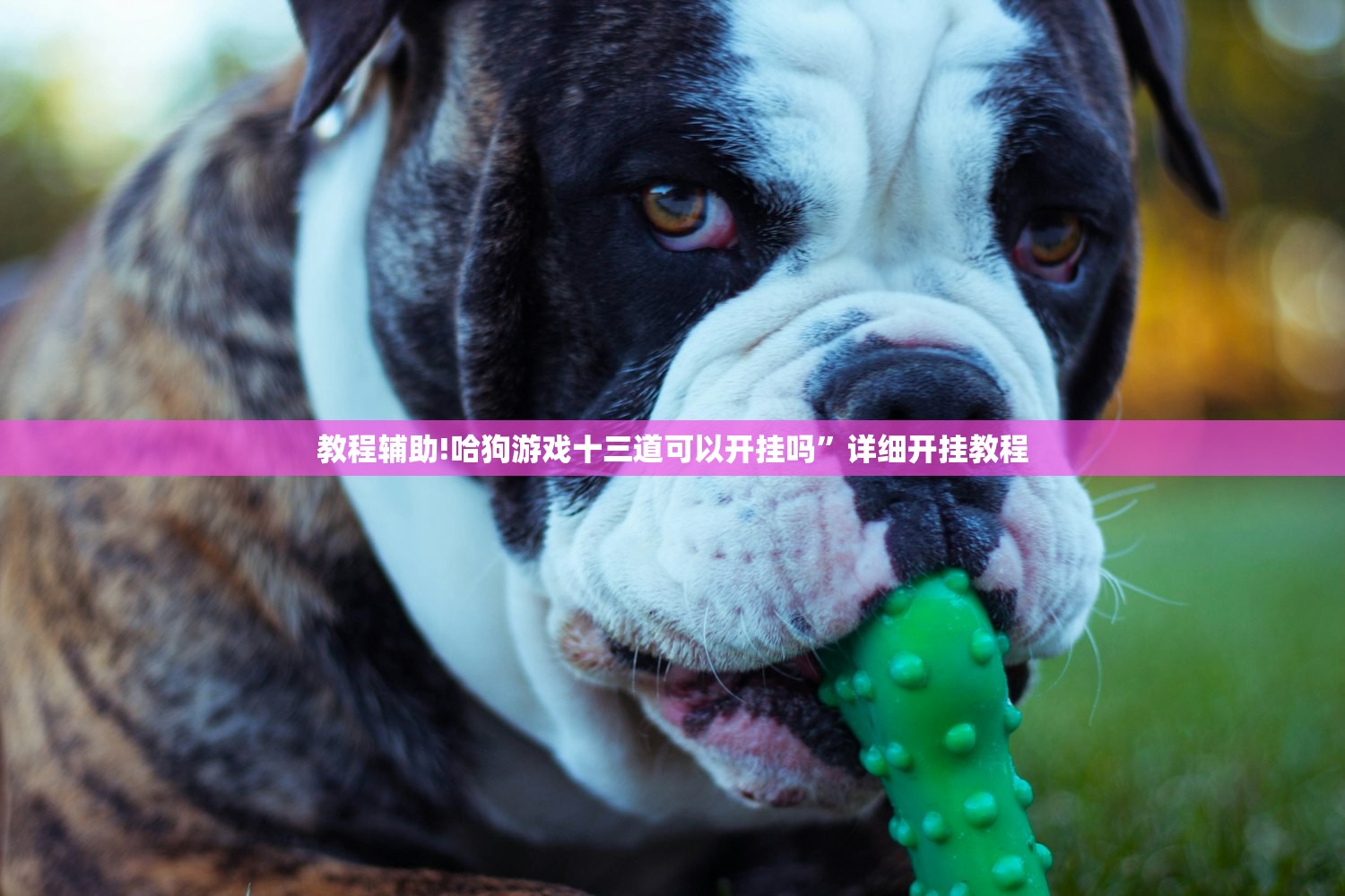 【春节返乡要隔离吗,春节返乡要隔离吗最新消息】