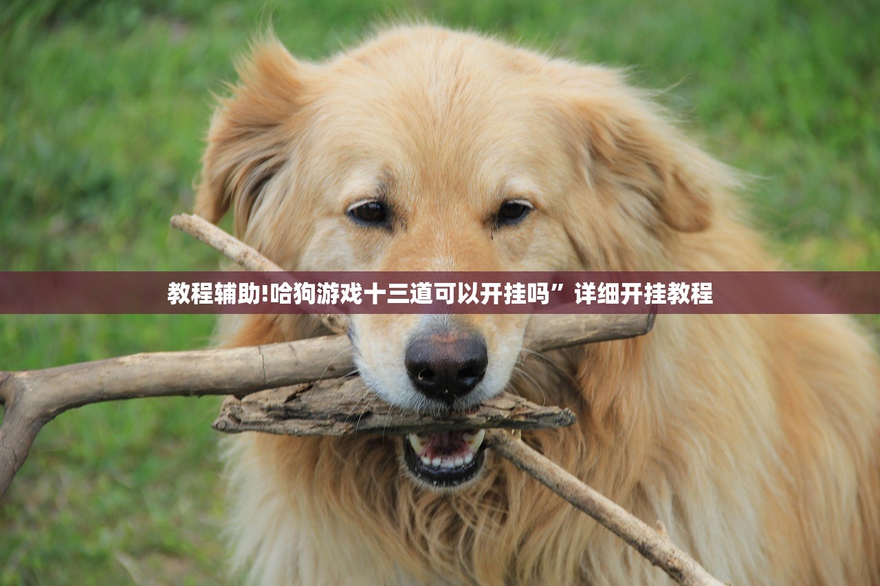 教程辅助!哈狗游戏十三道可以开挂吗	”详细开挂教程