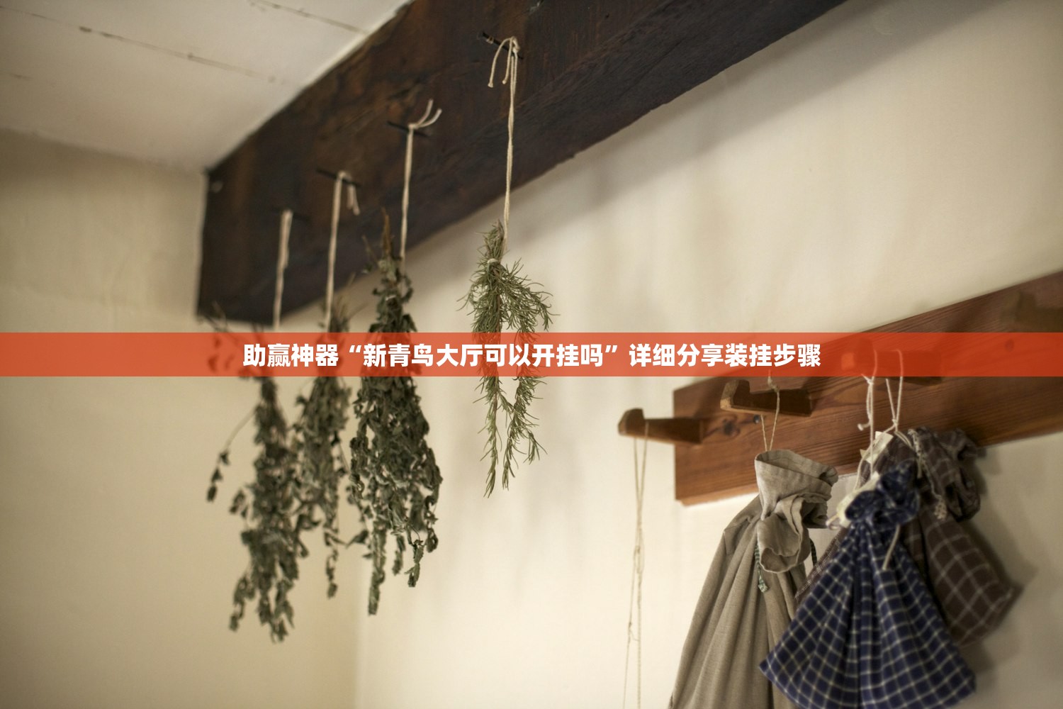 大连进入战时状态/大连进入战时状态意味着什么