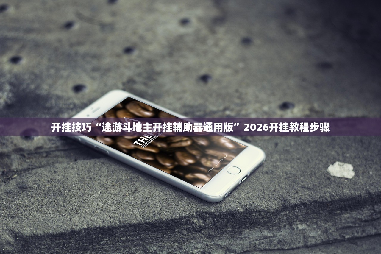 开挂技巧“途游斗地主开挂辅助器通用版”2026开挂教程步骤
