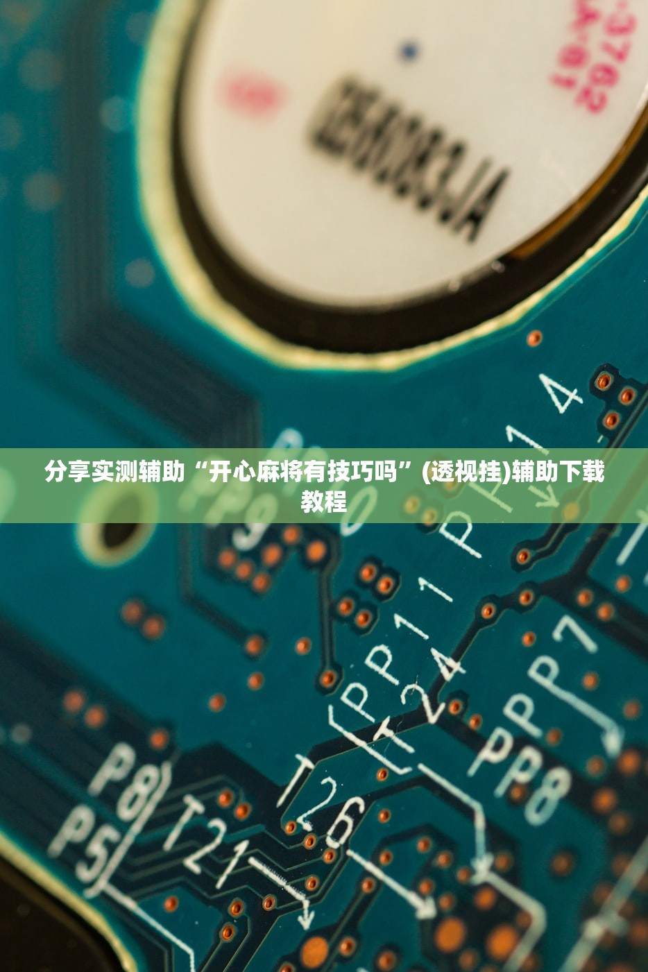 【口袋妖怪xy官方图鉴,口袋妖怪xy资料片】