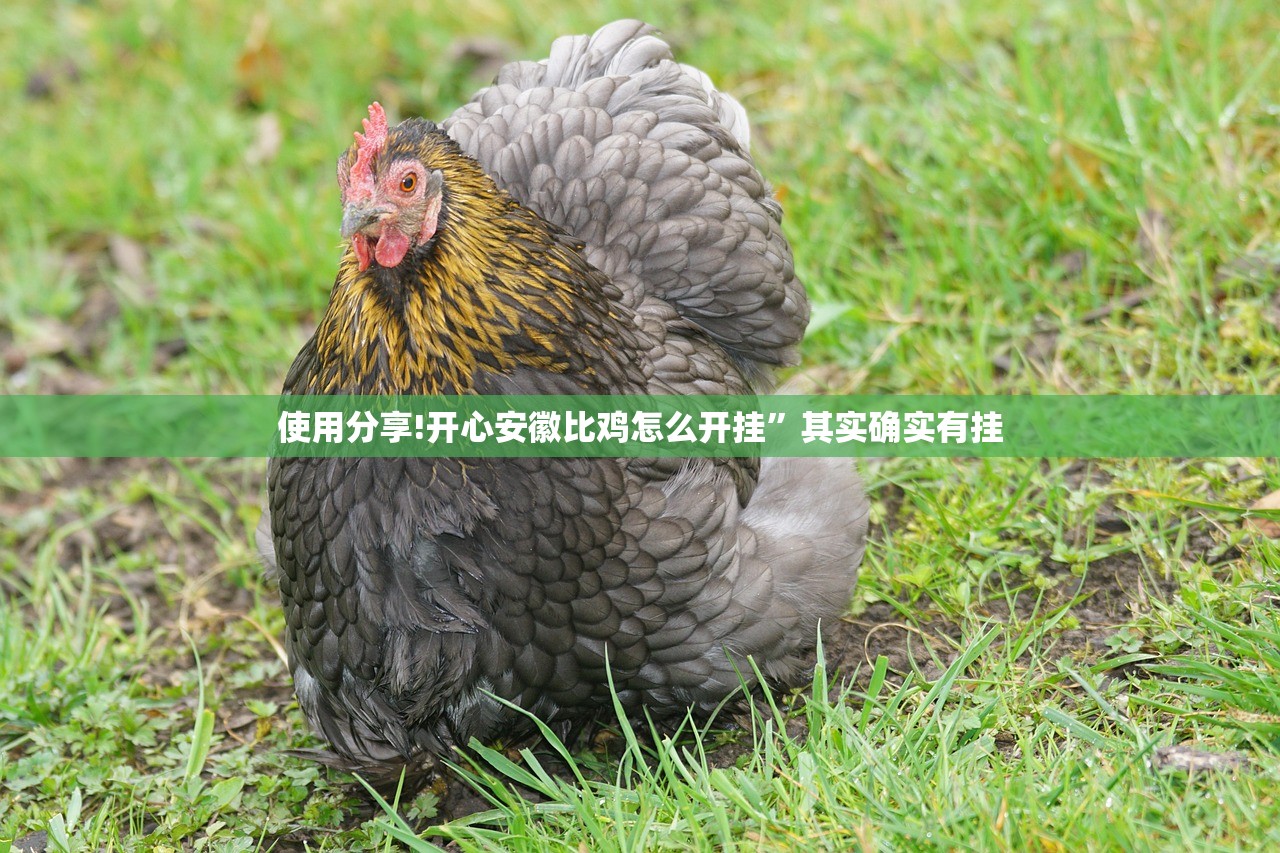 使用分享!开心安徽比鸡怎么开挂”其实确实有挂