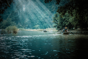 会变色的动物有哪些（十大变色动物）